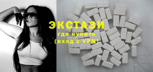 ECSTASY Богданович